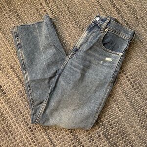 Everlane Way High Jean